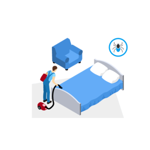 cuci springbed